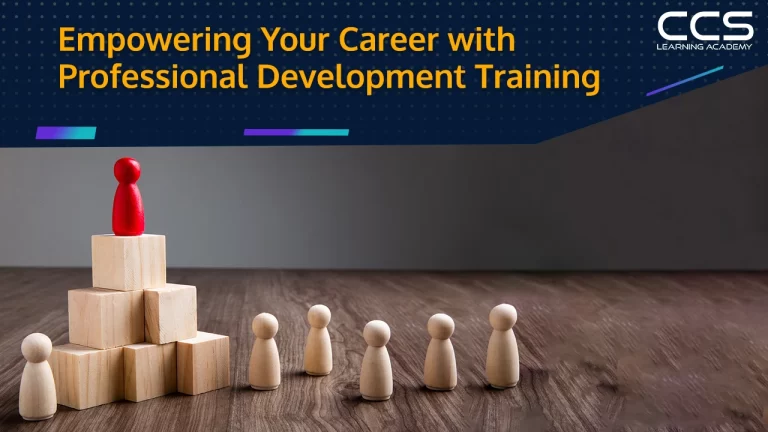 Professional development training